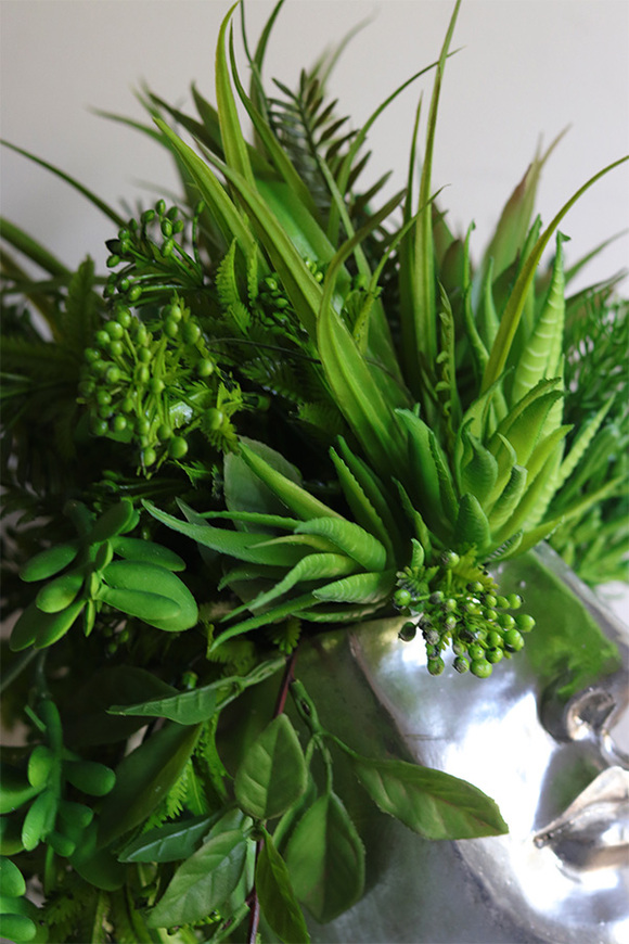 Suculentas Espana sukulenty w głowie kompozycja