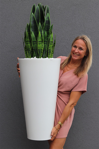 Sansewieria Della Biel, roślina sztuczna w donicy