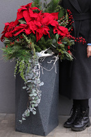 Gwiazda Betlejemska Nevis, wysokiej jakości sztuczna roślina XL