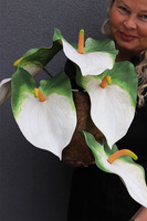 Anturium White, kompozycja kwiatowa z gumowym anturium