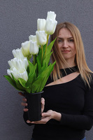Tulippo New Design White 2, nowoczesny bukiet nagrobny we wkładzie, dł.50cm  