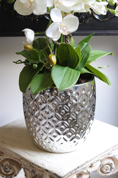 Silver Trettia Big, biały sztuczny storczyk w srebrnej donicy
