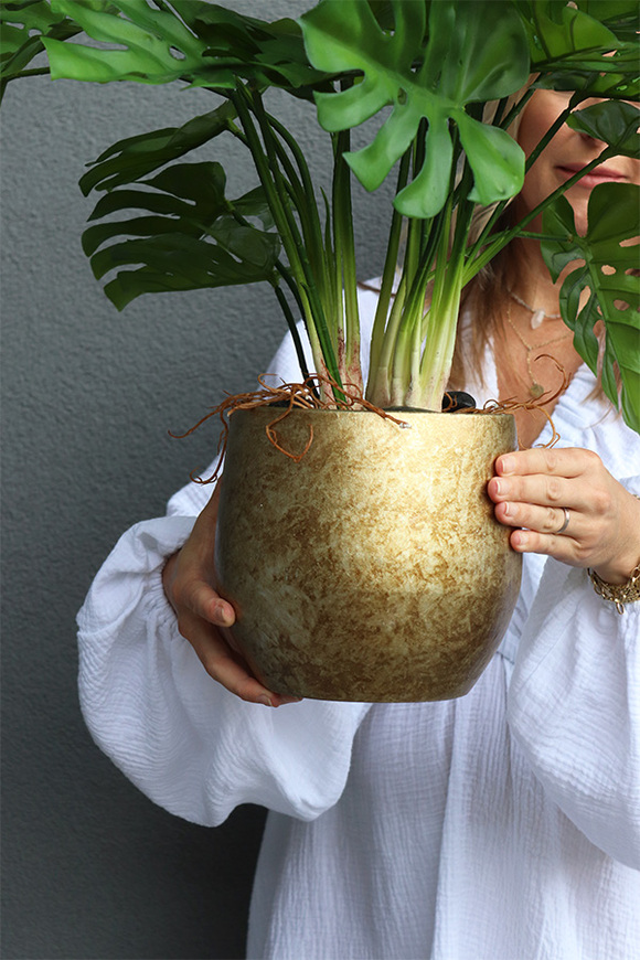 Monstera Gold Hilton, drzewko sztuczne w donicy