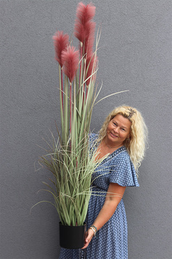 sztuczna trawa Pióropusze, róż, wys.149cm