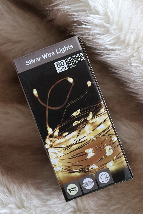 zewnętrzne lampki / światełka, Silver Wire