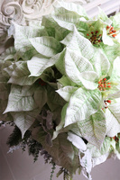 Gwiazda Betlejemska Design Biel, kompozycja na stojaku