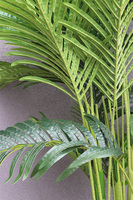 Areca Concrete, sztuczna palma w betonowej donicy