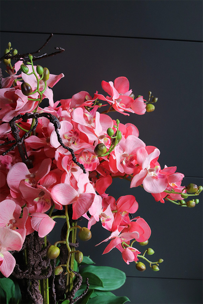 ekskluzywny storczyk w stalowej donicy, Koralovy Mirror Cube