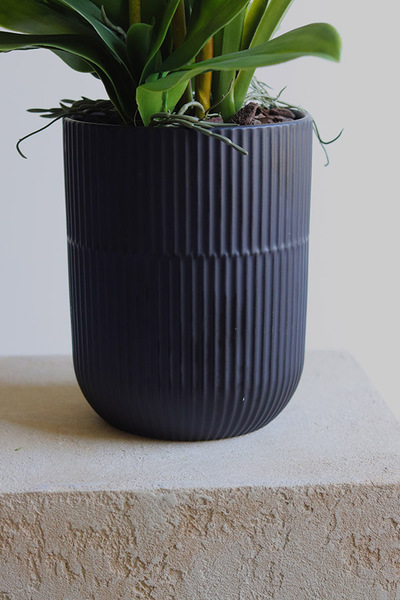 Jenny Harlow, gumowy storczyk w donicy