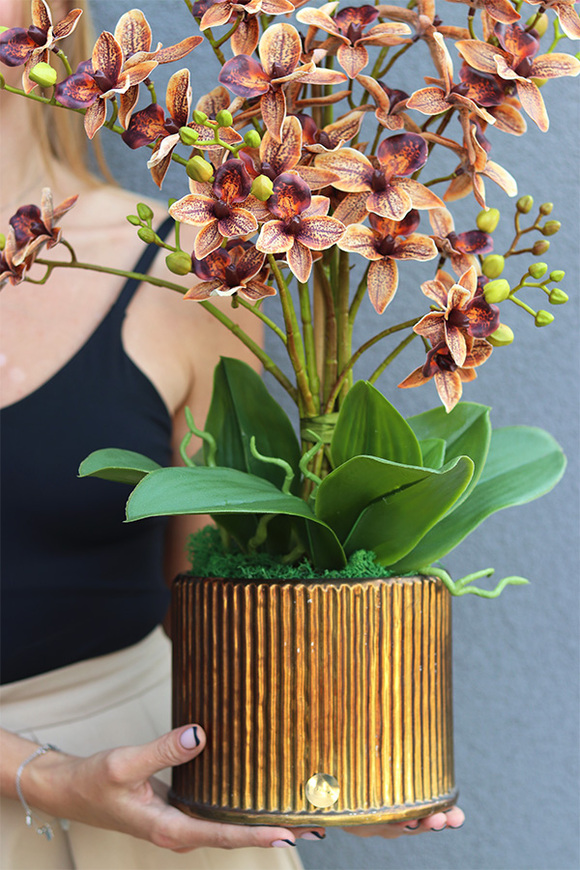 Thai Selania Gold, sztuczny storczyk