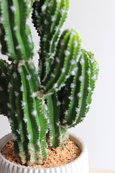 Kaktus A, sztuczna roślina w osłonce z tworzywa sztucznego, dł.83cm