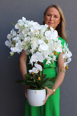 Hefrata, sztuczny storczyk w białej donicy, wys.69cm