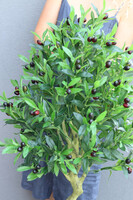 Drzewko Oliwne Concrete, sztuczna roślina w donicy