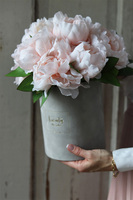 Morelia Easter, kompozycja w szarym pudełku