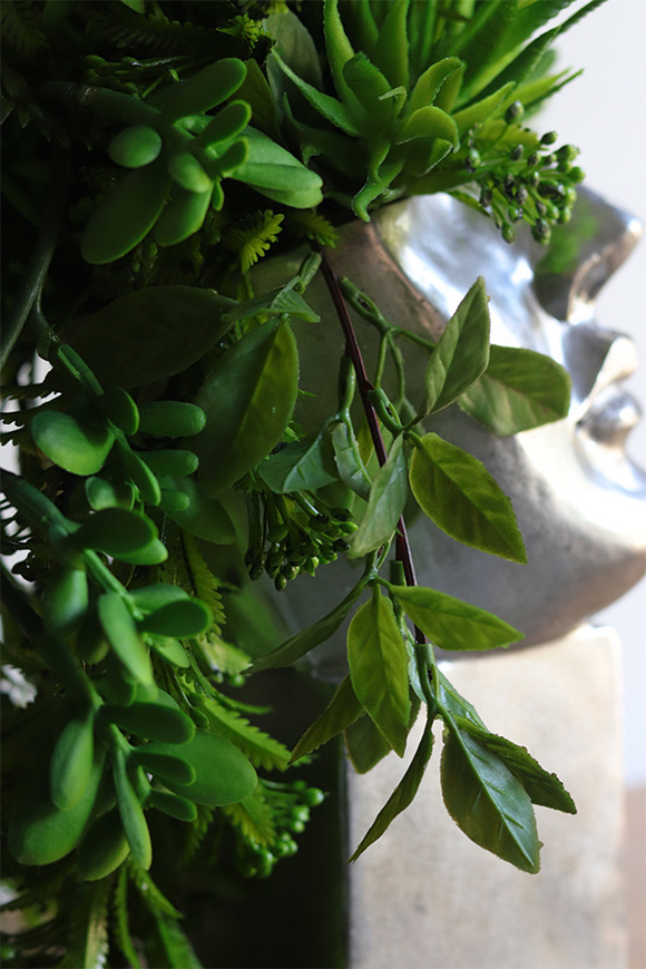 Suculentas Espana sukulenty w głowie kompozycja