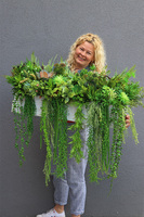 Dalila 3, kompozycja sukulenty do twojej donicy, wym.44x85x35cm