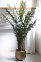 Magellania Gold Hilton, sztuczna palma w złotej donicy