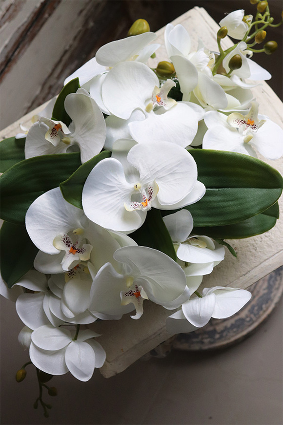 Dekoriato Small, kompozycja z orchideą w owalnej misie, wym.18x54cm