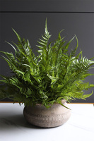 Tunila 2, paproć w ozdobnej donicy etno