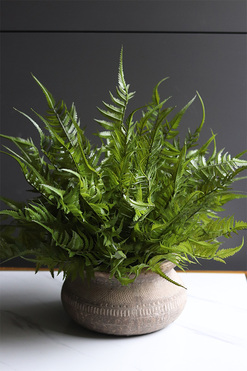 Tunila 2, paproć w ozdobnej donicy etno, wym.44x50cm 