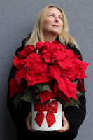 Gwiazda Betlejemska Kokarda, wysokiej jakości sztuczna roślina