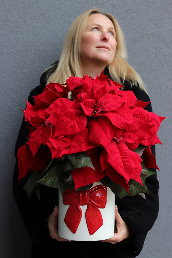 Gwiazda Betlejemska Kokarda, wysokiej jakości sztuczna roślina