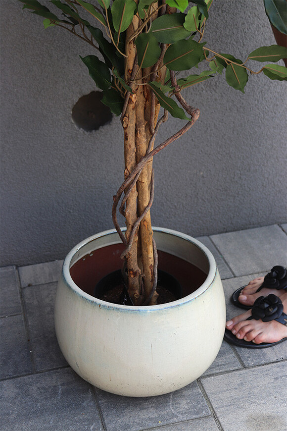 Fikus Benjamin K Ares, sztuczna roślina w donicy