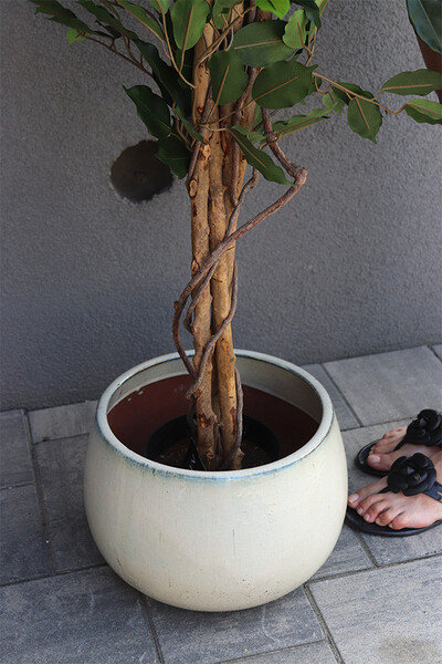 Fikus Benjamin K Ares, sztuczna roślina w donicy