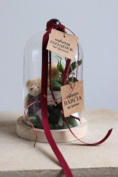 Teddy Red, kompozycja pod szklanym kloszem