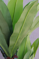 Jukka, sztuczna roślina drzewko