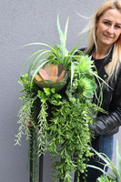 Cybilla Design Extra, kompozycja sukulenty w donicy na stojaku