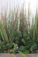 Albertina Steel, trawy w stalowej donicy