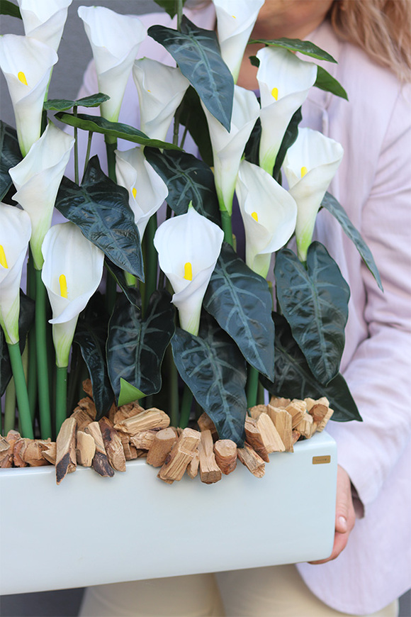 Kalle Biel Deluxe, kompozycja kwiatowa w donicy