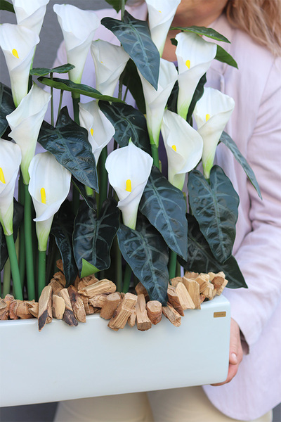 Kalle Biel Deluxe, kompozycja kwiatowa w donicy