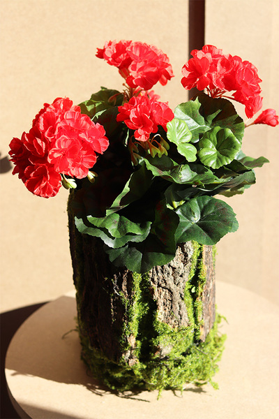 Red Wood, kompozycja kwiatowa pelargonie