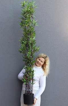 Bambus, sztuczna roślina w donicy, wys.188cm