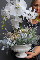 Frozen Orchid, elegancki storczyk zimowy w pucharze