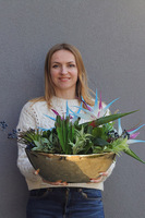  Strelicja Laos Blue, dekoracja kwiatowa do wnęki