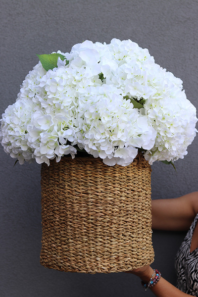 Hydrangea Bali, bogaty kosz z hortensjami