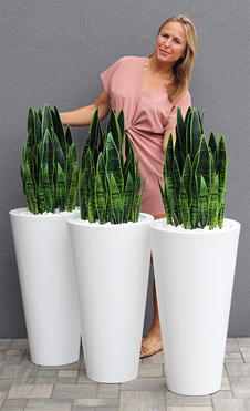 Sansewieria Della Biel, roślina sztuczna w donicy, wys.120cm 