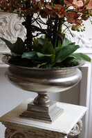 Castellamare Granada Deluxe, gumowy storczyk w pucharze