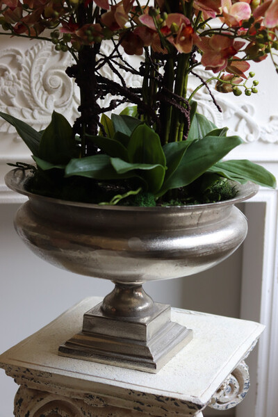 Castellamare Granada Deluxe, gumowy storczyk w pucharze