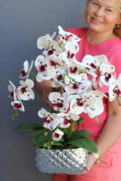 Dalmatyńczyk, gumowy storczyk w donicy glamour, wys.57cm 