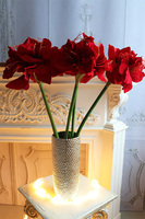 Amarylis Glamour, świąteczny bukiet kwiatów w wazonie