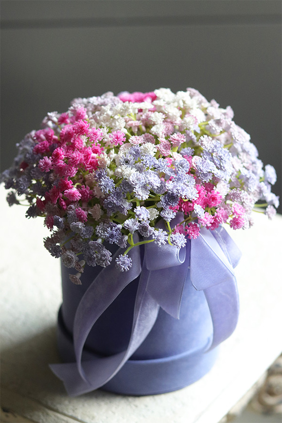 Kaszka Colors, flowerbox kwiatowy welurowy, gipsówka