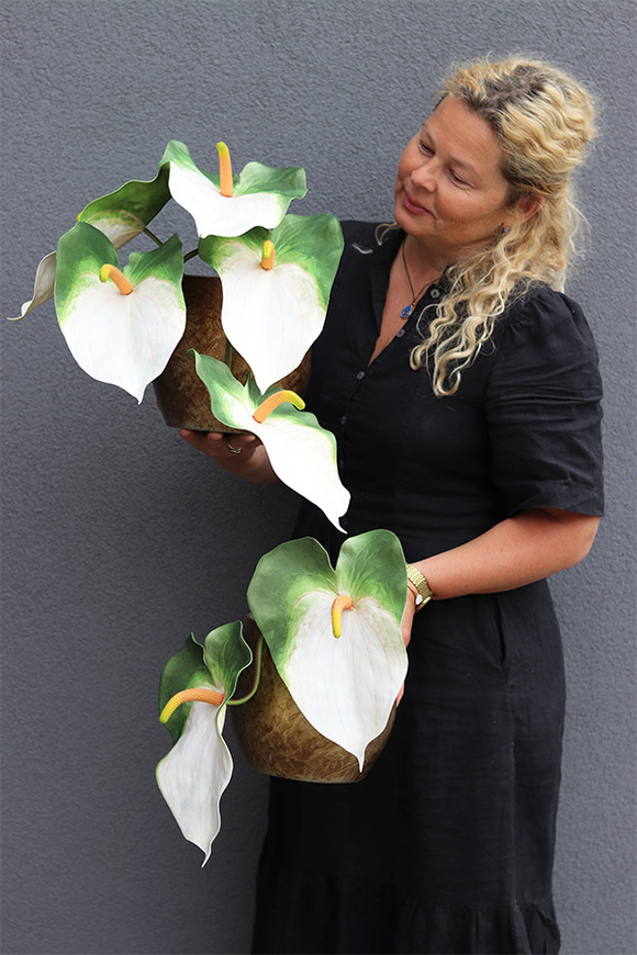 Anturium White, kompozycja kwiatowa z gumowym anturium