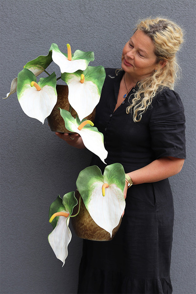 Anturium White, kompozycja kwiatowa z gumowym anturium