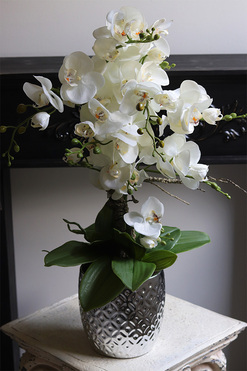 Silver Trettia, biały sztuczny storczyk w srebrnej donicy, wys.65cm 