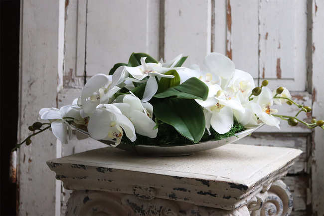 Dekoriato Small, kompozycja z orchideą w owalnej misie, wym.18x54cm