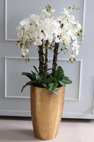 elegancka metalowa donica 1 szt., Złota Bajka, C, wym.46.5x28.5x28.5cm